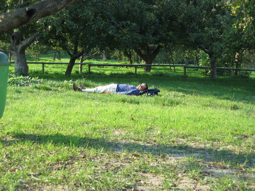 Wachautour2-Michael_119