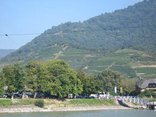 Wachautour2-Michael_174