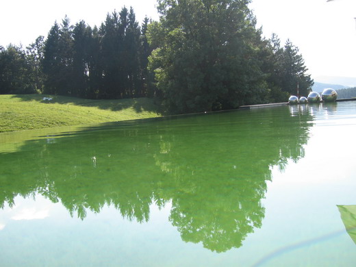 Wachautour2-Wurli_25