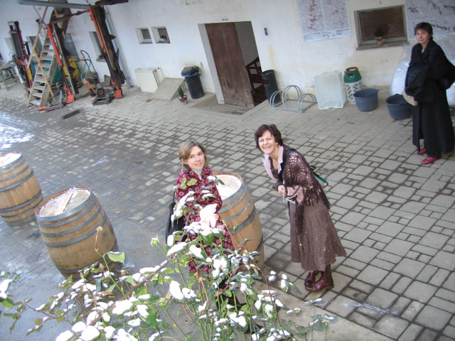 Kapfenstein_06