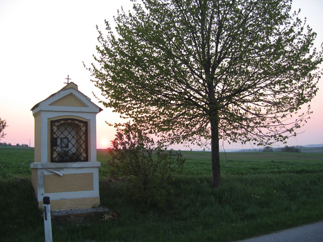 WWF06_006