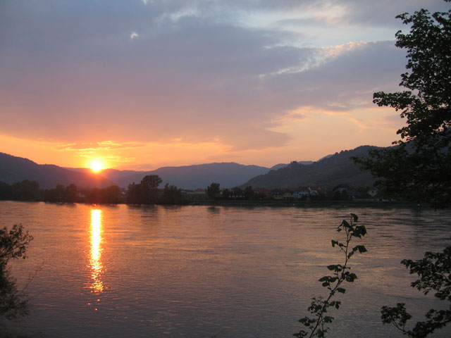 WWF06_109