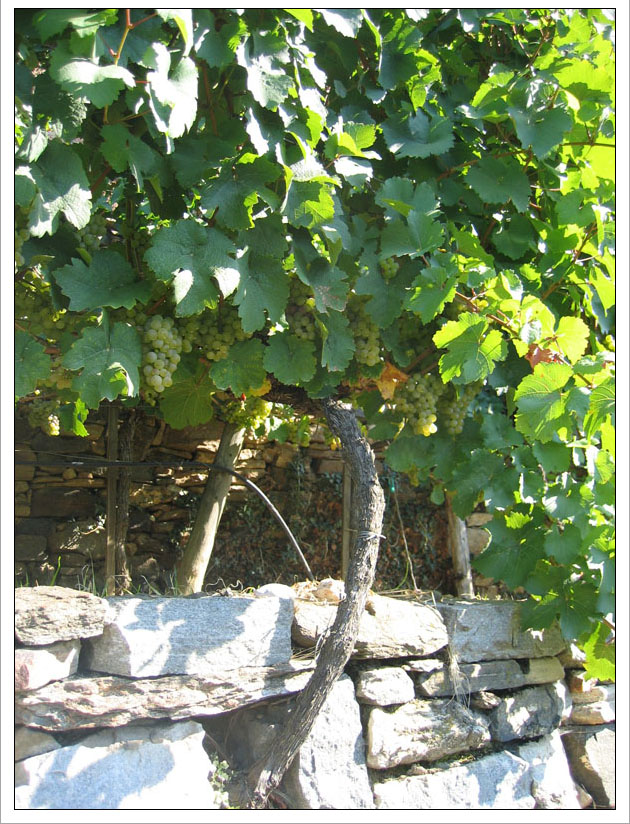 2006-09-23_Wachau_021